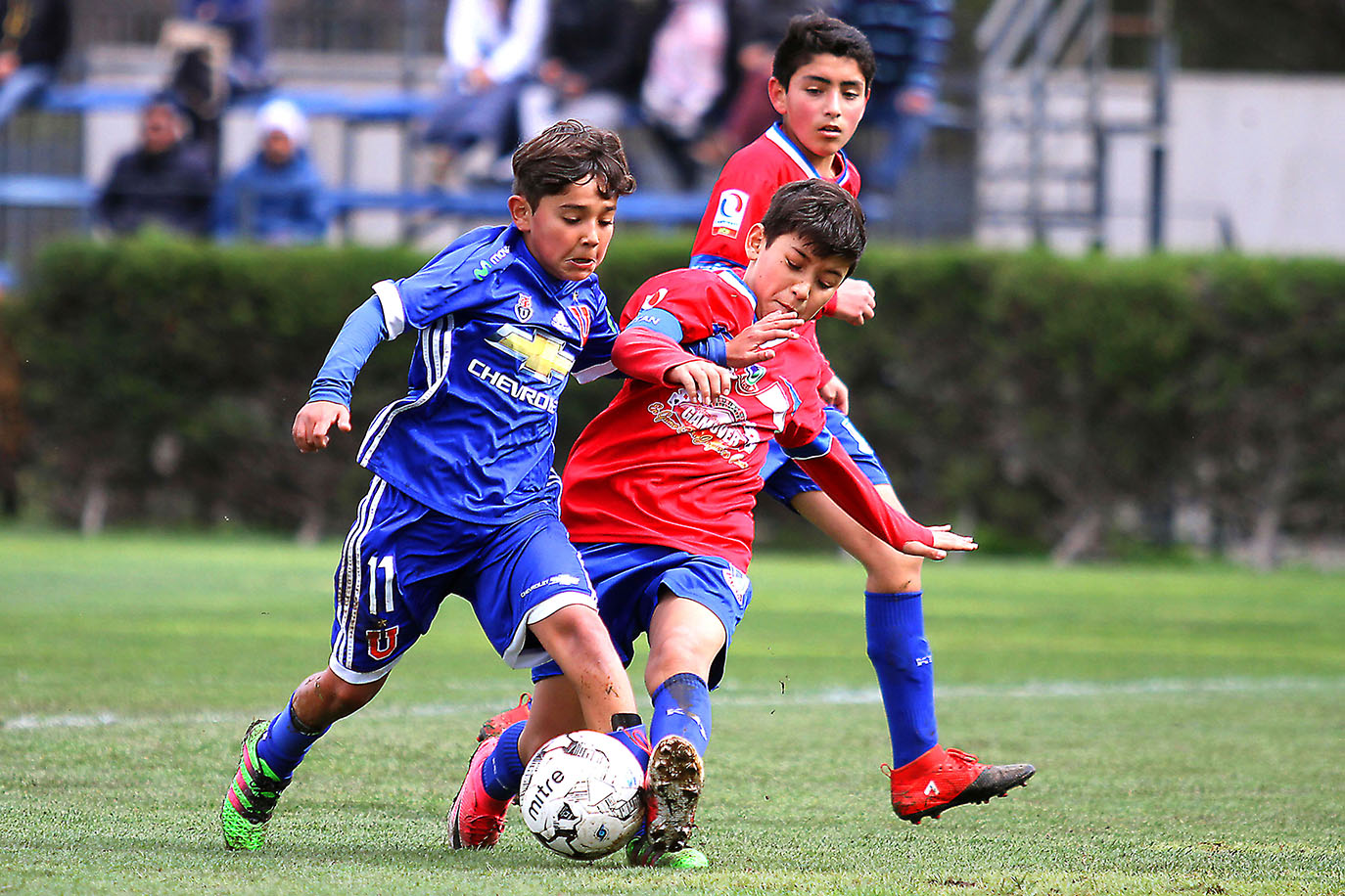 A un paso de la gloria