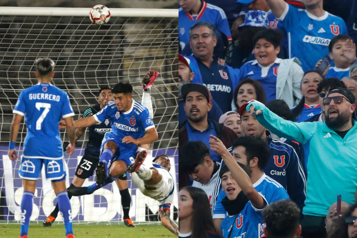 universidad de chile cuestionamientos