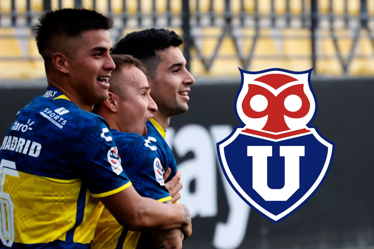 Se cae una opción: Everton se quedará con cotizado delantero chileno que interesaba en la U