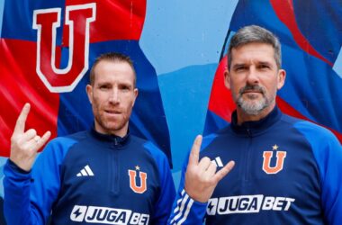 Nuevo DT de las leonas.