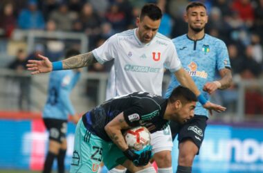 Gustavo Álvarez activa las alarmas por complicaciones de uno de sus titulares: "Está en observación, siente molestias"